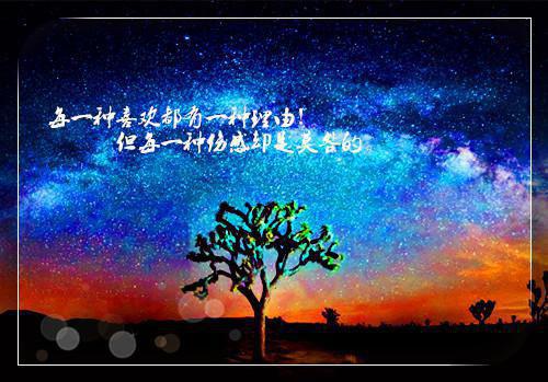 荆条疙瘩写的小说特种军团：重回抗日年代最新阅读