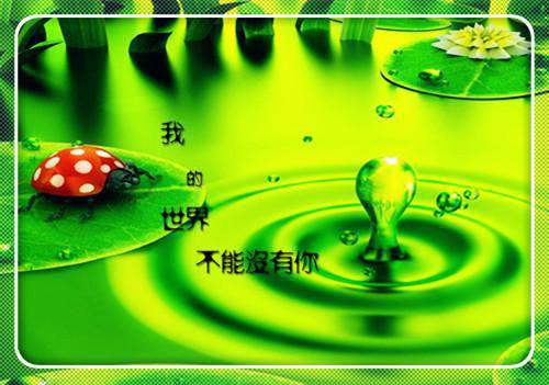 简语风司珩：司珩简语风：全文+结局+番外最新章节列表（司珩简语风：简语风司珩：全文+结局+番外）