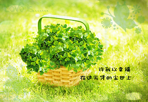 懒洋洋经典语录