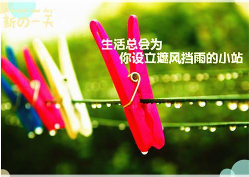 伍薇薇顾亦寒小说全文阅读 伍薇薇顾亦寒小说大结局版