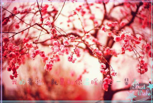 我们俩不死不休催泪小说江忍喻言无弹窗阅读