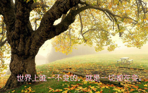 假千金她又美又飒将离最新小说全文阅读