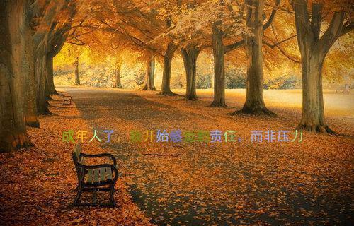 见君思小说(古代)沈知乐李屹在线阅读