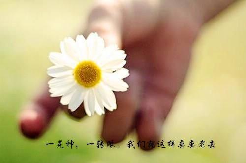 闪婚后老公是超级富豪纪宁烟秦南御完结版免费小说全文阅读