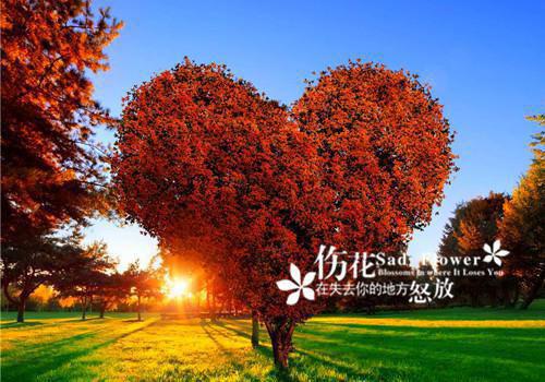 三崽联盟爹地妈咪超凶嘚小说林莫晚霍少霆全书阅读