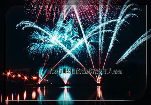 完结版苏幸安的小说汀汀我意阅读