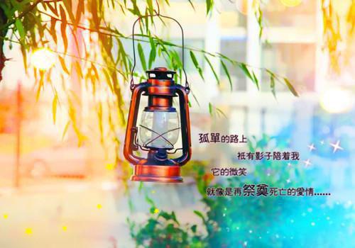 爱而不得苏乔全文免费阅读(夏夜微凉m)完结版阅读