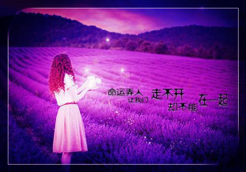 一路向君生许白路大结局 一路向君生小说完本阅读