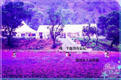 古董风水师徐朗于珊珊 古董风水师全文阅读