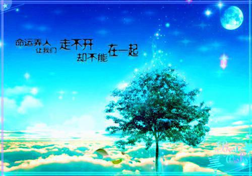 新上《鲜嫩娇妻：凶猛老公，狠狠爱》锦公子小说免费阅读