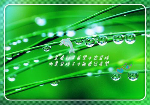 武直穿越成了武大郎罗诜小说免费阅读