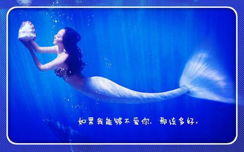 旧梦不解离人恨谢兰兮墨子琰 旧梦不解离人恨小说免费阅读
