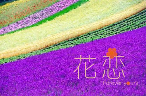 高中名言名句
