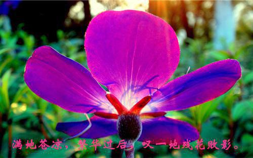 谢沅：庶妹女扮男装，换命抢我夫君结局+番外(谢沅)全文免费阅读无弹窗结局_谢沅+结局最新章节列表（谢沅：庶妹女扮男装，换命抢我夫君结局+番外）
