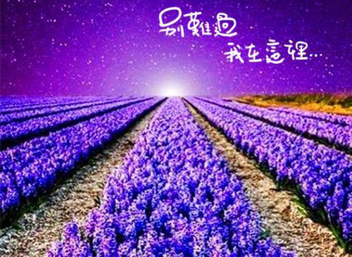 都市神医龙婿小说林天楚倩无删减阅读