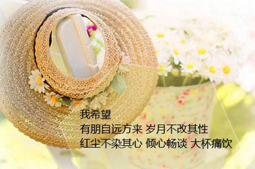 免费小说苏凝燕君赫穿越废柴千金by也无风雨也无晴完结版阅读