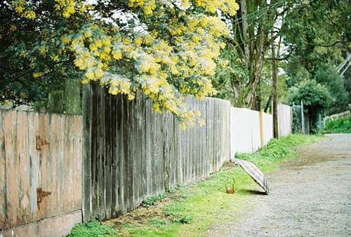 自动自发读后感