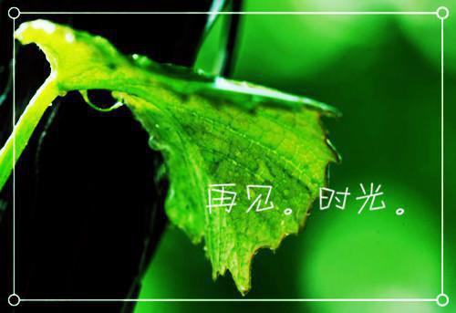 小学四年级作文难忘的一件事
