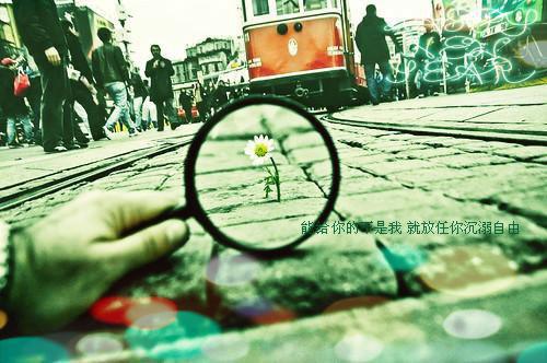 养大男主后，你说这是人形天灾小说全文免费阅读（乔清疏裴周妄）全文免费阅读无弹窗大结局_养大男主后，你说这是人形天灾最新章节列表