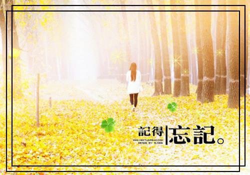 搞笑爱情名言佳句