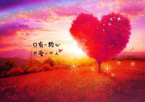 双面总裁在线宠妻七喜小说免费阅读