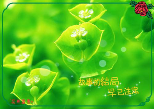 虐身虐心小说《薄少悔之晚矣》顾棠薄厉宸在线阅读