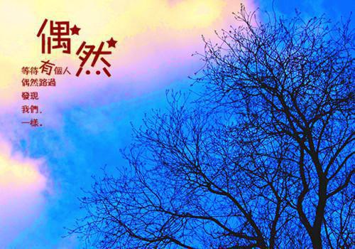 冷情陆少宠罪妻锦良小说免费阅读