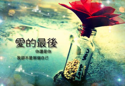 皇家驯兽师by千火小说 皇家驯兽师全文完结版阅读