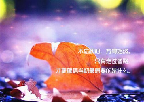 高冷总裁别嚣张小说齐小洛欧曜热门小说完结版阅读