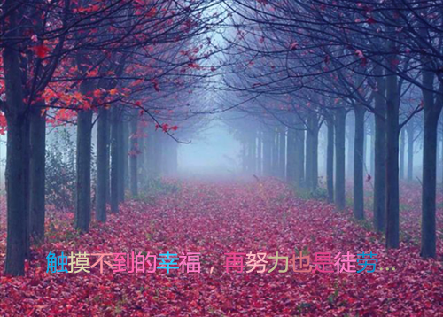 古武天医全本小说（古武天医）全文阅读