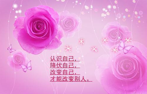 林夏言季温庭抖音「精彩小说」林夏言季温庭苏如如免费阅读