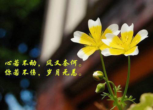 靳少情深不晚洛荀靳煜晟 惹爱成婚靳少情深不晚小说免费阅读
