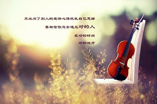 全球缉拿陆少夫人谁敢娶陆骁小说 (甜宠)陆骁钱悠悠全文在线阅读