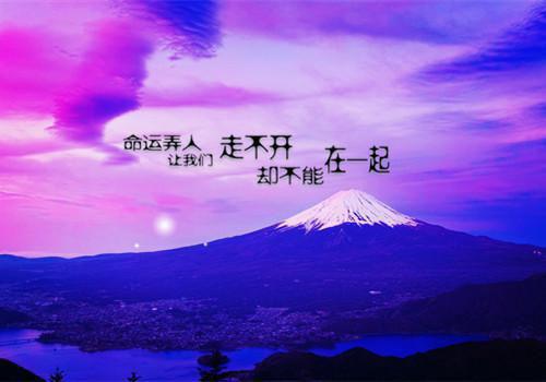 关于小学语文教师述职报告（精选5篇）