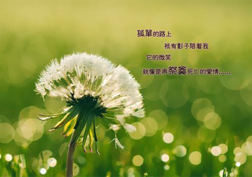 重生98首富从卖盲盒开始全文小说免费_张帆精彩阅读
