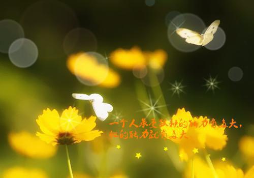 温书芸萧昀恺小说（温书芸萧昀恺小说）全文免费阅读无弹窗大结局_(温书芸萧昀恺小说)温书芸萧昀恺小说免费阅读无弹窗最新章节列表（温书芸萧昀恺小说）