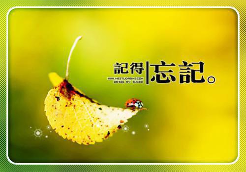 班主任赠言