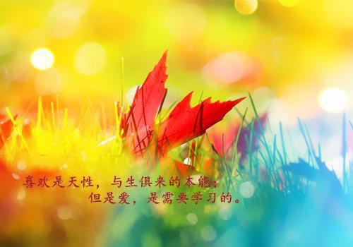 七步成诗小说全文安仔免费阅读