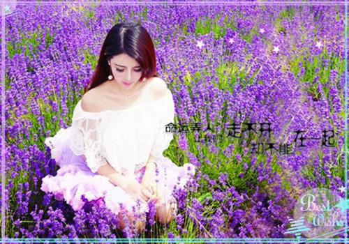 八零年代她娇且甜免费小说凤芒全文阅读
