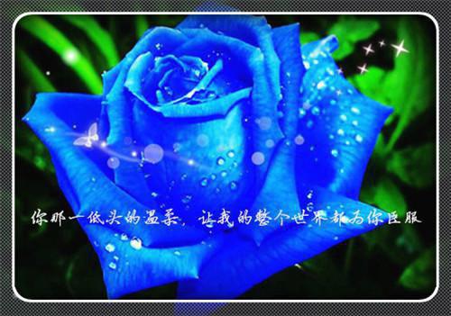 关于写山水的作文