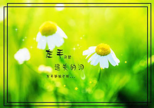 栩栩今生小叙小说（完整版）阅读
