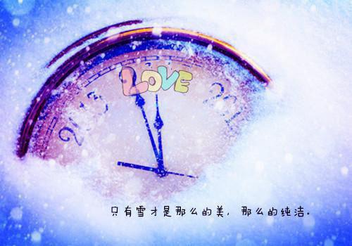 关于菊花的诗句