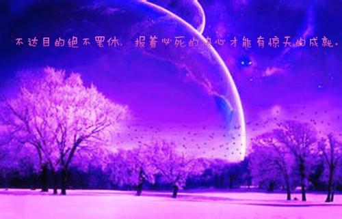 经典语录：愿你熬得过万丈孤独，藏得下星辰大海