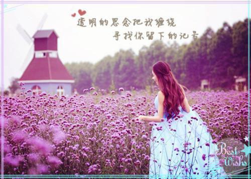 替身娇宠帝少的失忆白月光完结版小说_夏凝周墨霄全文阅读