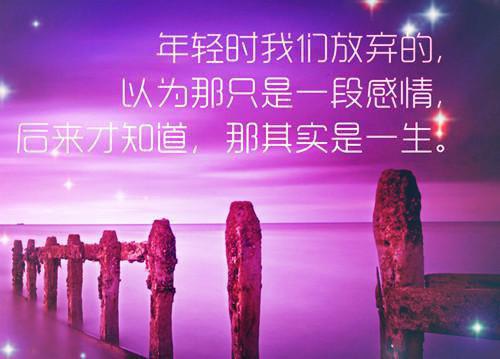 情深不可欺小说新书秦时九卓悦全本阅读