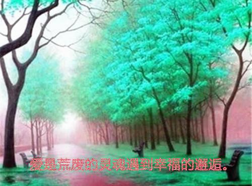 《只盼与你一世安然》沈安陆司沉简一全章节阅读