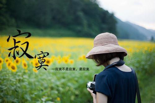 教千古一帝科学治国小说主角苏御无删减版阅读