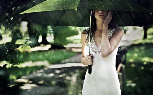 一蓑烟雨写的小说被夺走气运的女主全本小说阅读