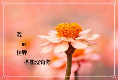 小学教师毕业留言