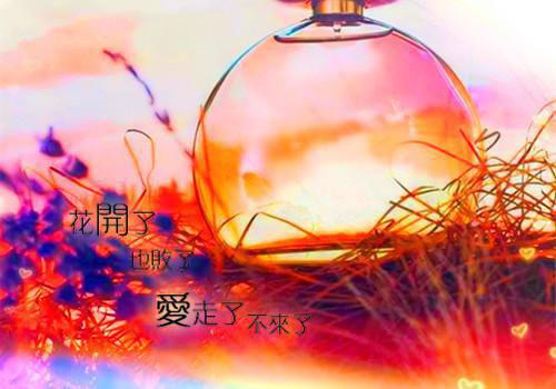 八零娇妻媳妇赚钱忙小说 白小婉廖承未删减阅读